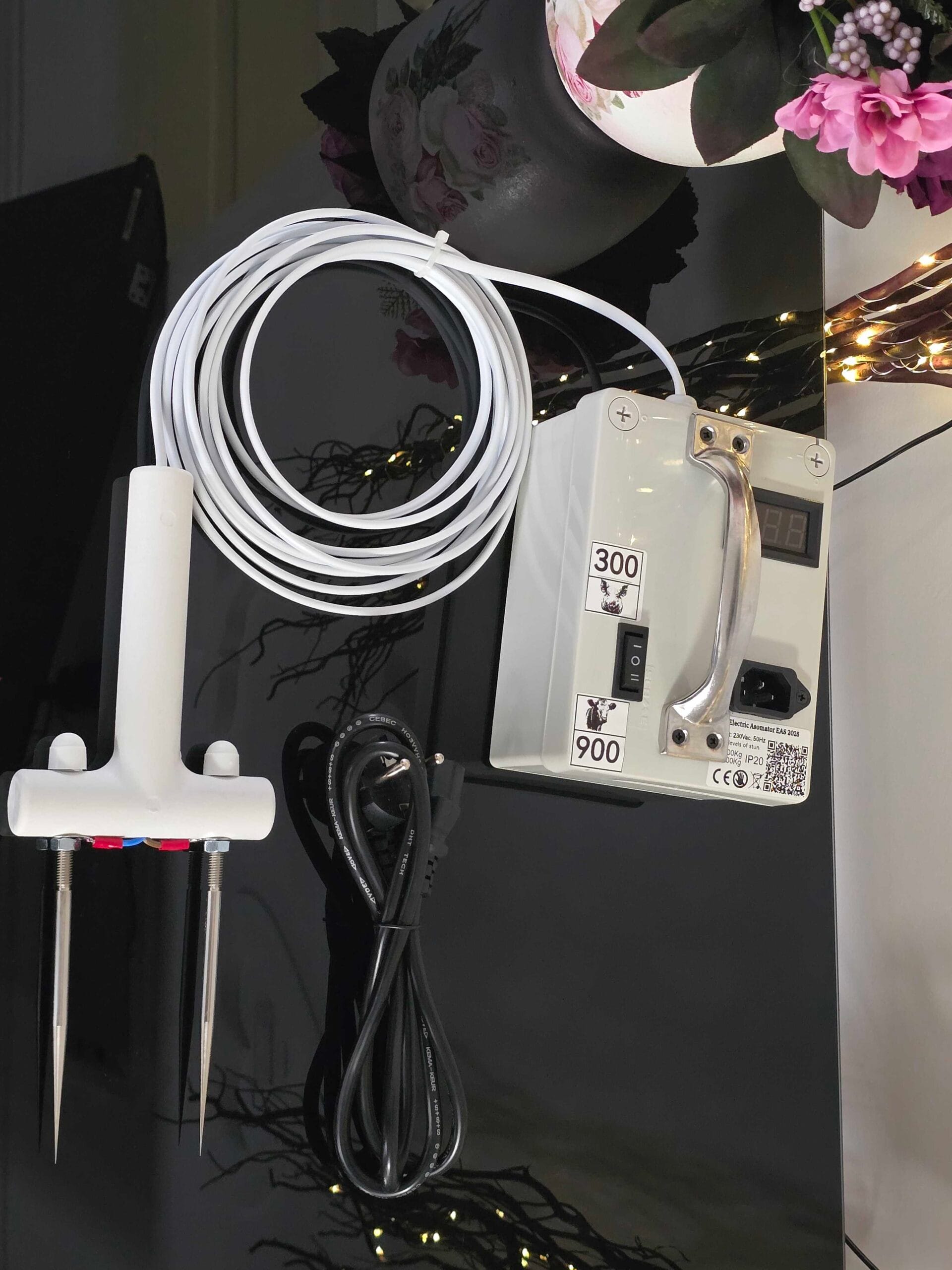 Asomator Porci mici si mari