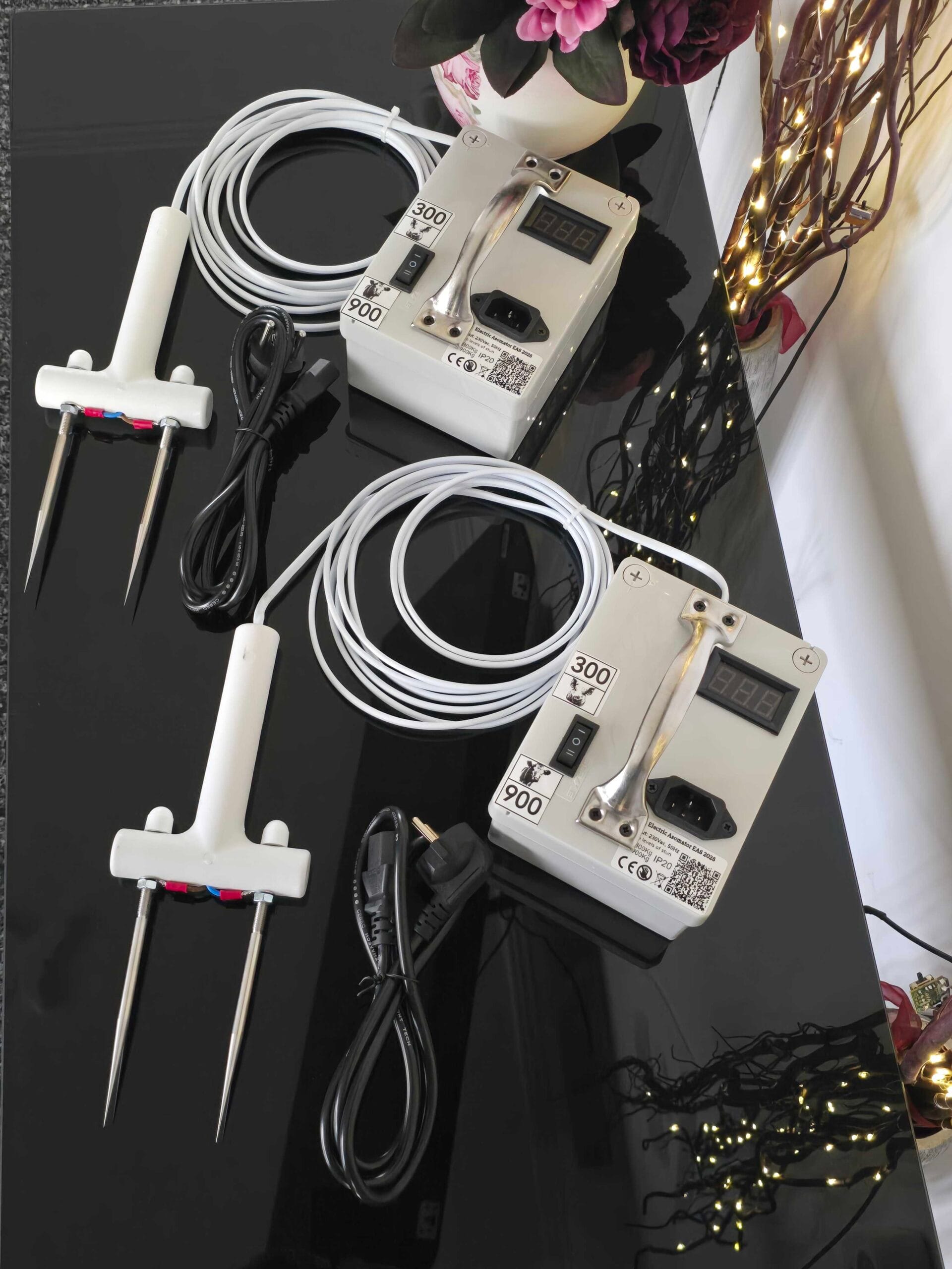 Asomatoare electrice EAS 2025